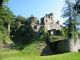 Burgruine Dalberg