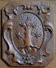 Graffenried - Wappen